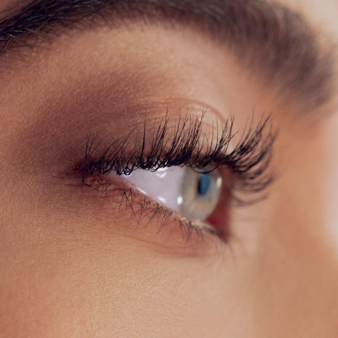 Tout Savoir Sur le Cycle de Vie des Cils